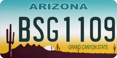 AZ license plate BSG1109