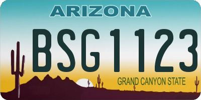 AZ license plate BSG1123