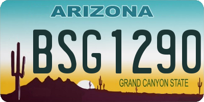 AZ license plate BSG1290