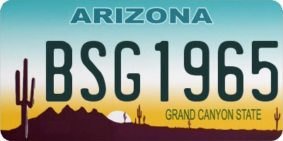 AZ license plate BSG1965