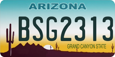 AZ license plate BSG2313