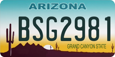 AZ license plate BSG2981