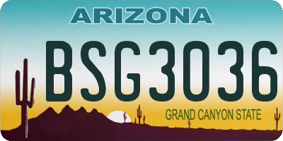 AZ license plate BSG3036