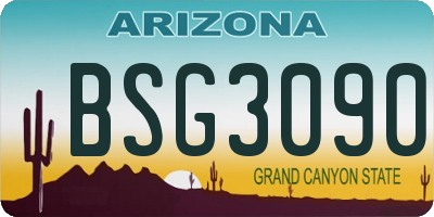 AZ license plate BSG3090