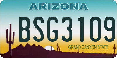 AZ license plate BSG3109