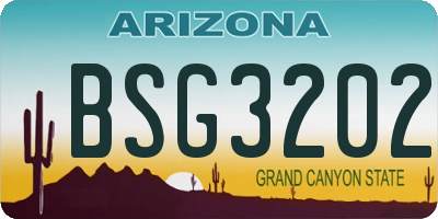 AZ license plate BSG3202