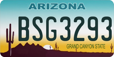 AZ license plate BSG3293