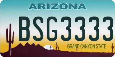 AZ license plate BSG3333