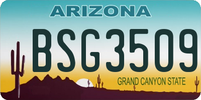 AZ license plate BSG3509