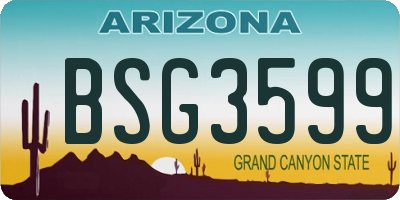 AZ license plate BSG3599