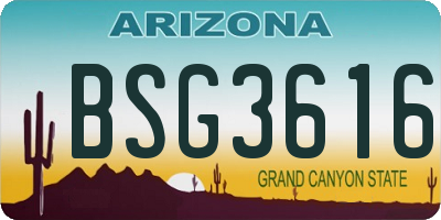 AZ license plate BSG3616