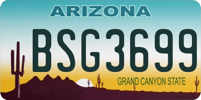 AZ license plate BSG3699