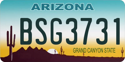 AZ license plate BSG3731