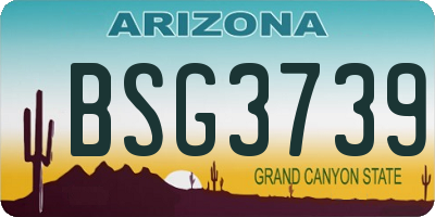 AZ license plate BSG3739