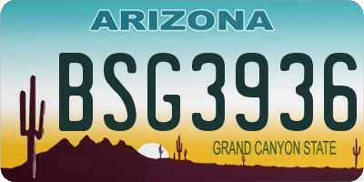 AZ license plate BSG3936