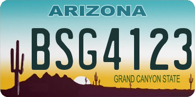 AZ license plate BSG4123