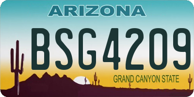 AZ license plate BSG4209