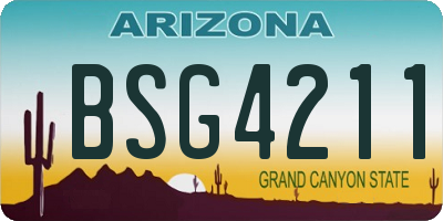 AZ license plate BSG4211