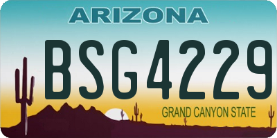 AZ license plate BSG4229