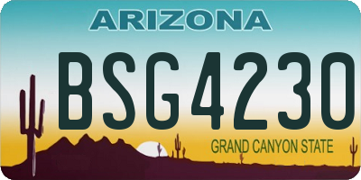 AZ license plate BSG4230