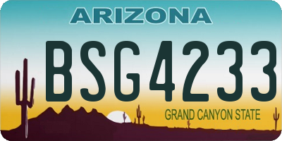 AZ license plate BSG4233