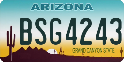 AZ license plate BSG4243