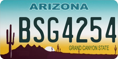 AZ license plate BSG4254