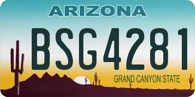 AZ license plate BSG4281