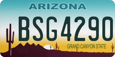 AZ license plate BSG4290