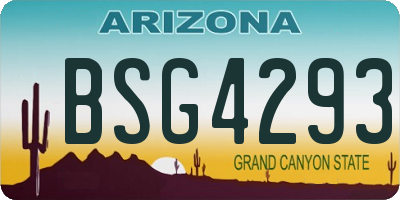 AZ license plate BSG4293