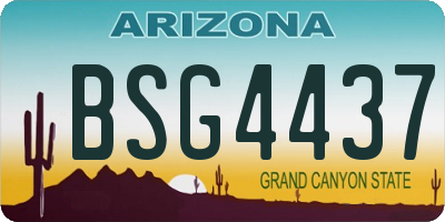 AZ license plate BSG4437