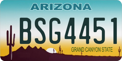 AZ license plate BSG4451
