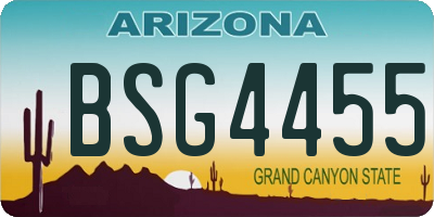 AZ license plate BSG4455
