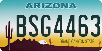 AZ license plate BSG4463