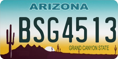 AZ license plate BSG4513