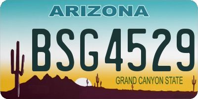 AZ license plate BSG4529