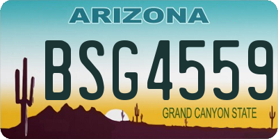 AZ license plate BSG4559