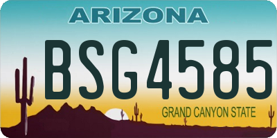 AZ license plate BSG4585