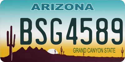 AZ license plate BSG4589