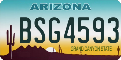 AZ license plate BSG4593