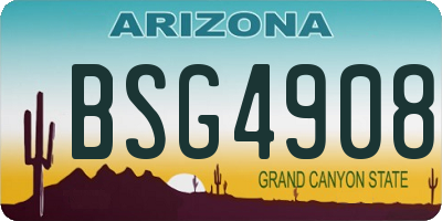 AZ license plate BSG4908