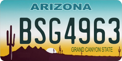 AZ license plate BSG4963