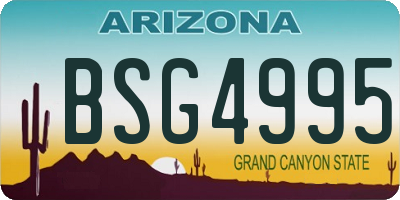 AZ license plate BSG4995