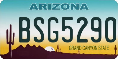 AZ license plate BSG5290