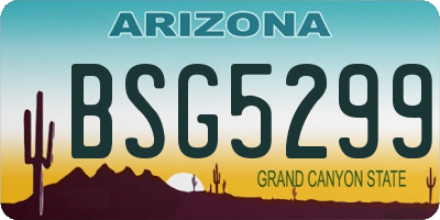 AZ license plate BSG5299