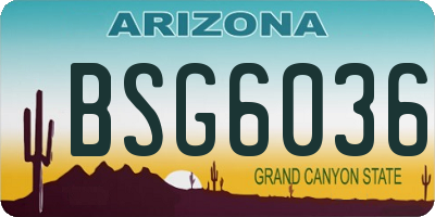AZ license plate BSG6036