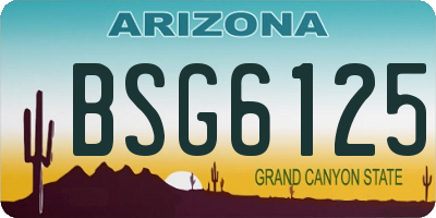 AZ license plate BSG6125