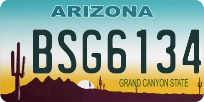 AZ license plate BSG6134