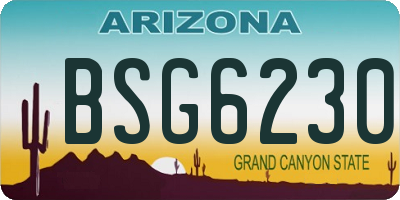 AZ license plate BSG6230