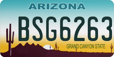 AZ license plate BSG6263